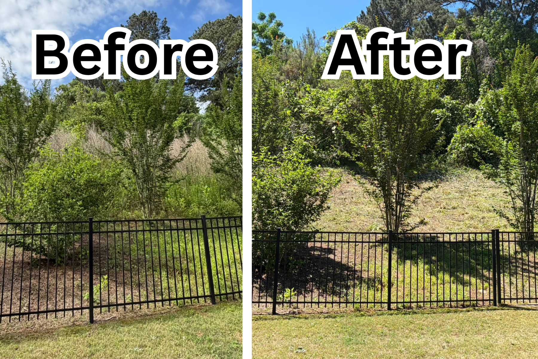 Cleared brush and overgrowth