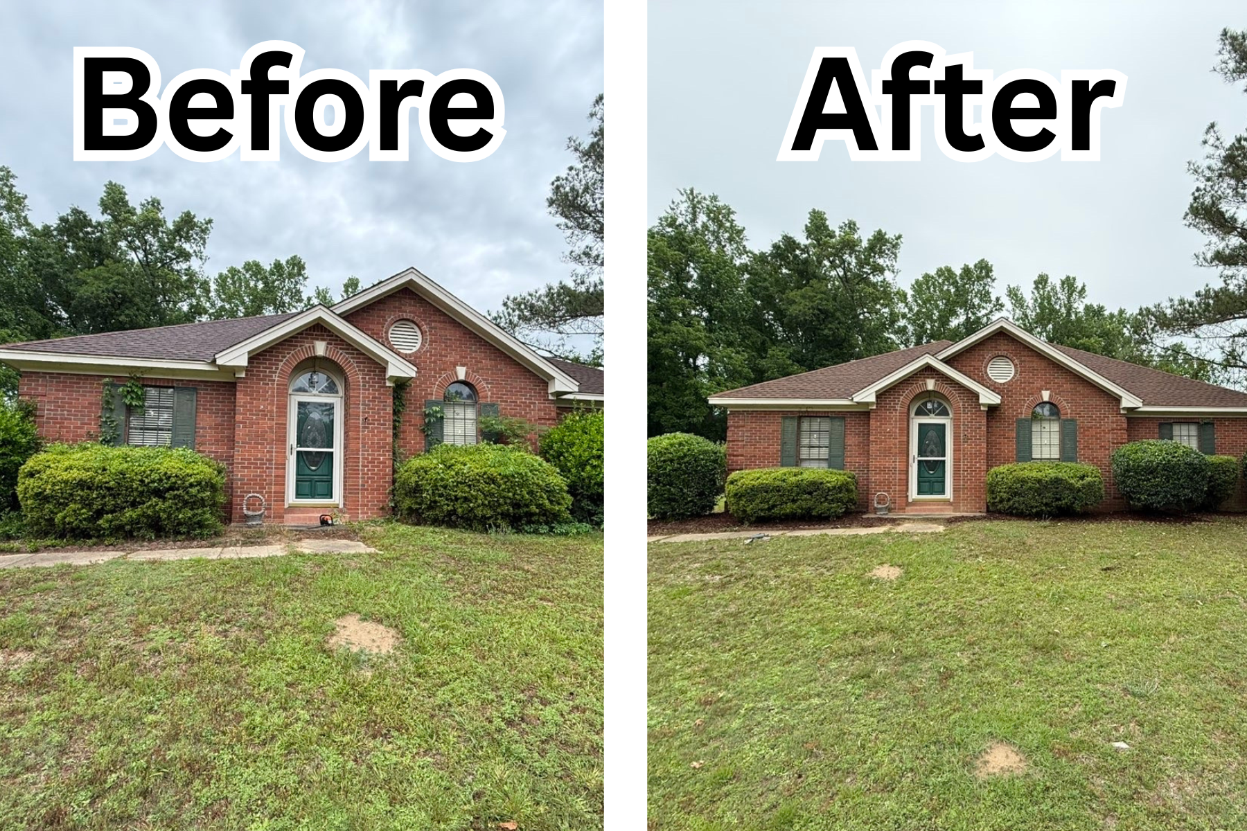 Trimmed hedges and shrubs