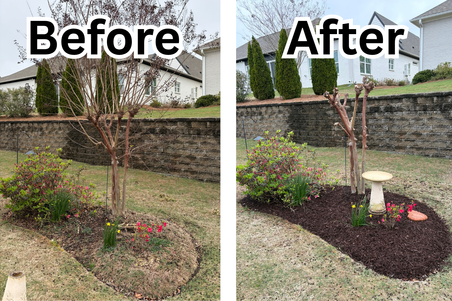 Mulch bed ringing a tree