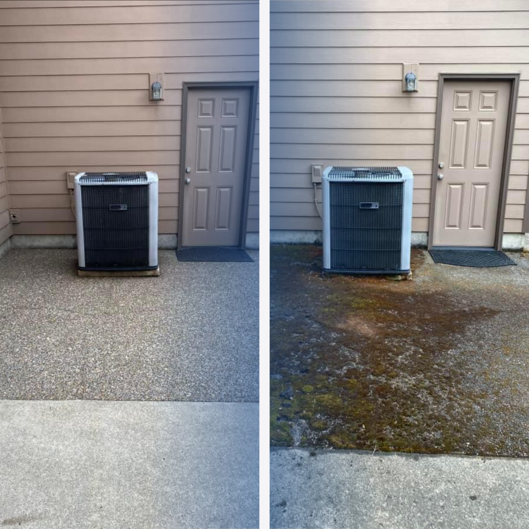 Back patio pressure washing