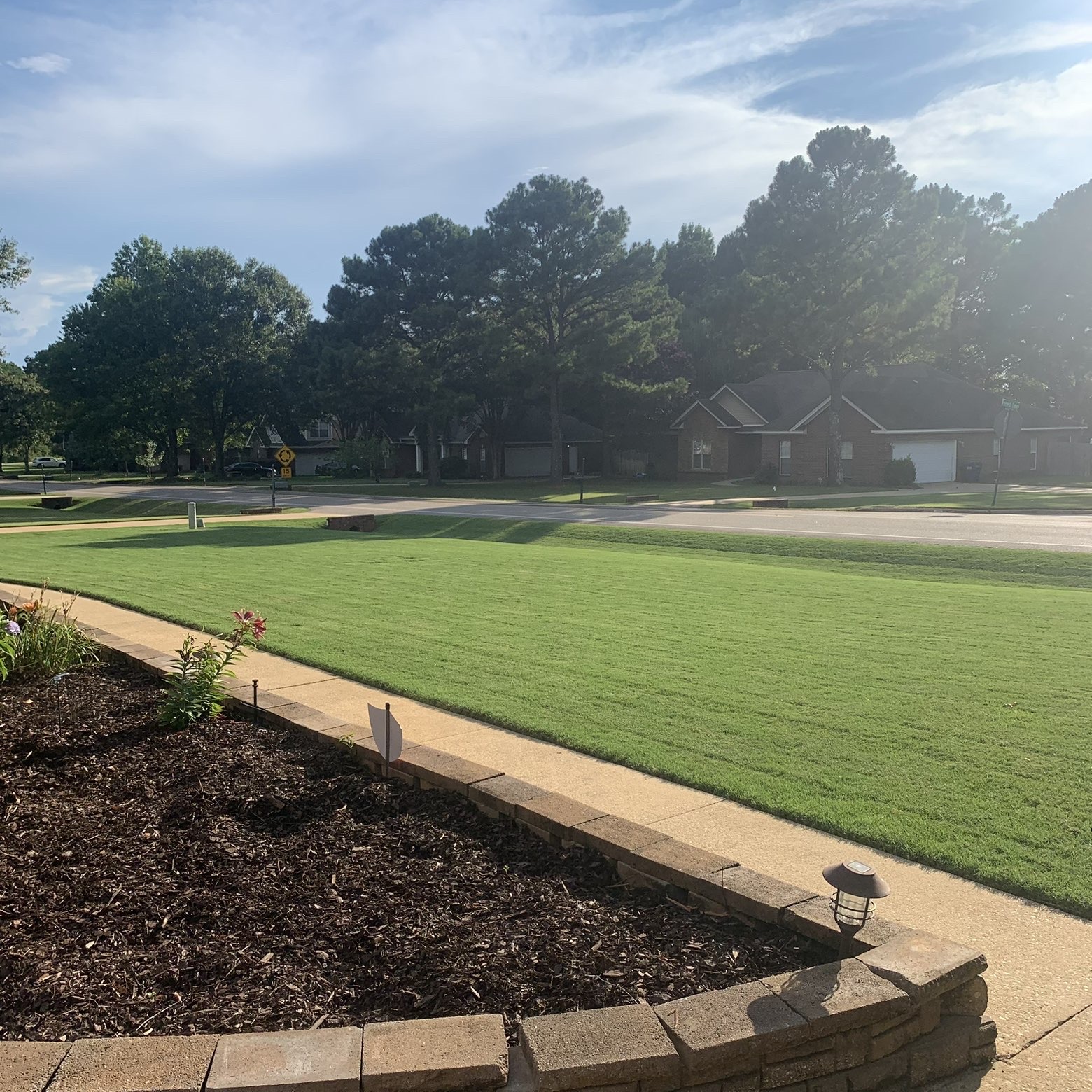 Freshly mowed and edged lawn
