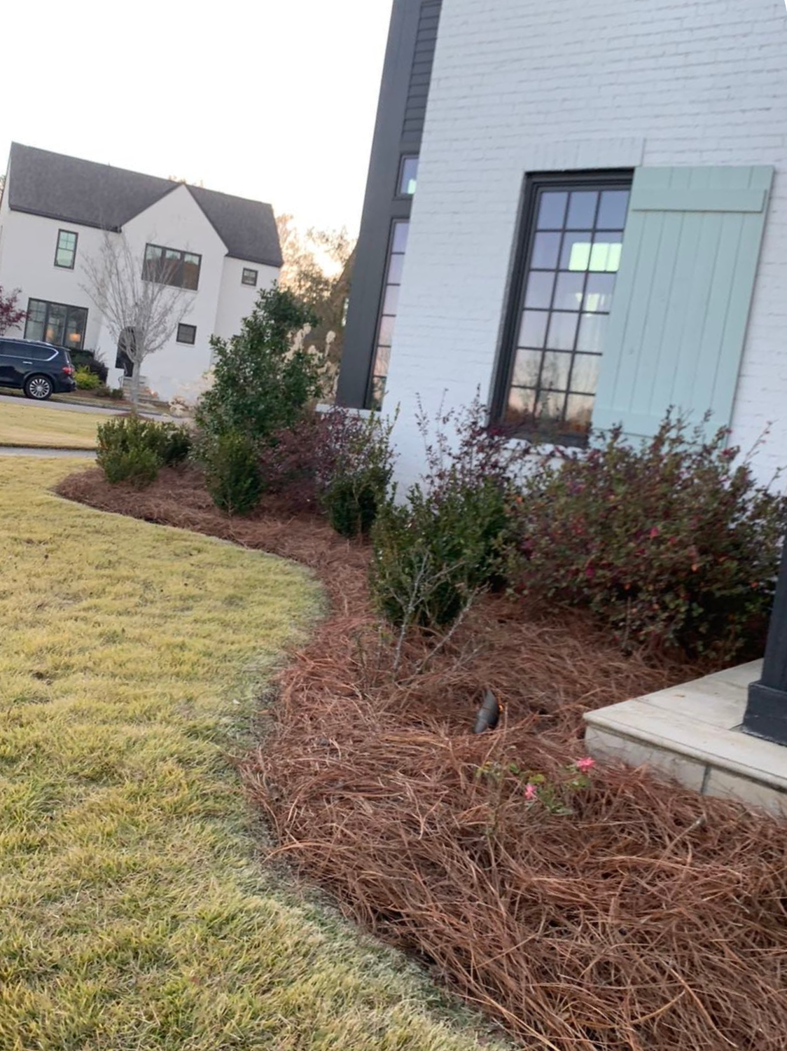 Pinestraw around the home